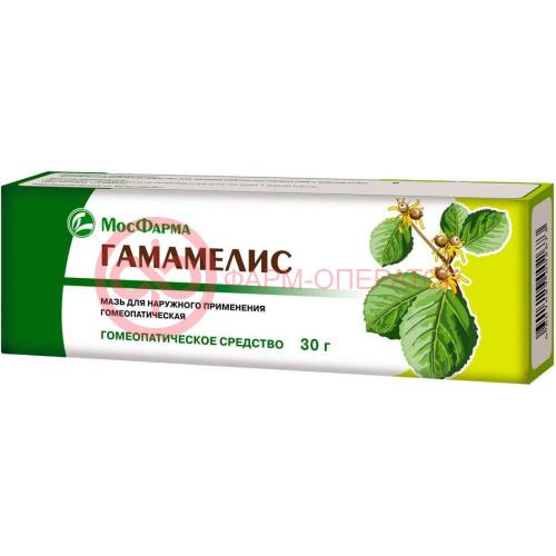 Проктолиф гамамелис мазь для местного и наружного применения гомеопатическая 30г Проктолиф гамамелис мазь для местного и наружного применения гомеопатическая 30г