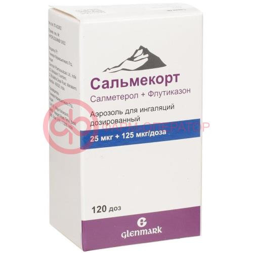 Сальмекорт аэрозоль для ингаляций дозированный 25мкг + 125мкг/доза 120доз Сальмекорт аэрозоль для ингаляций дозированный 25мкг + 125мкг/доза 120доз