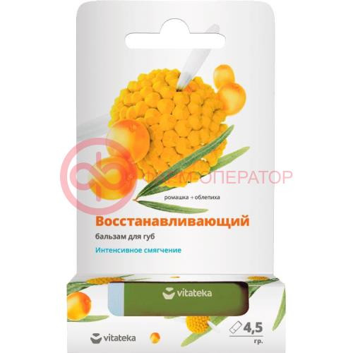 Витатека бальзам для губ 4.5г восстан. ромашка + облепиха Витатека бальзам для губ 4.5г восстан. ромашка + облепиха
