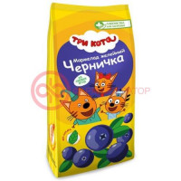 Лакомства д/здоровья мармелад черника 105г.