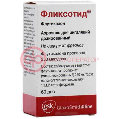 Фликсотид аэрозоль для ингаляций дозированный 250мкг/доза 60доз Фликсотид аэрозоль для ингаляций дозированный 250мкг/доза 60доз