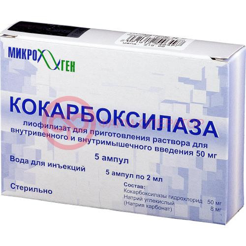 Кокарбоксилаза лиофилизат для приготовления раствора для внутривенного и внутримышечного введения 50мг №5 в комплекте с растворителем: вода для инъекций (ампулы) 2 мл-5 шт. Кокарбоксилаза лиофилизат для приготовления раствора для внутривенного и внутримышечного введения 50мг №5 в комплекте с растворителем: вода для инъекций (ампулы) 2 мл-5 шт.