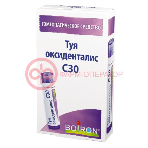 Туя оксиденталис с30 гранулы гомеопатические 4г Туя оксиденталис с30 гранулы гомеопатические 4г