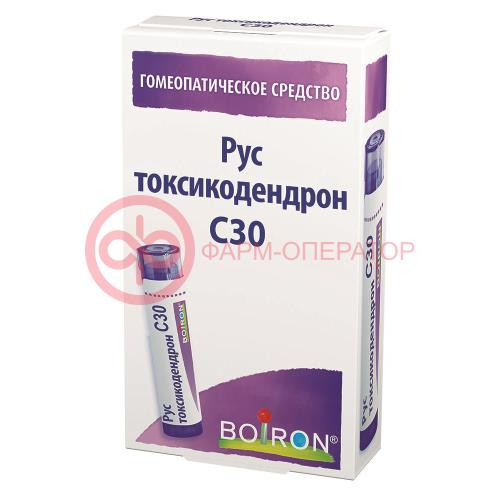 Рус токсикодендрон c30 гранулы гомеопатические 4г монокомп Рус токсикодендрон c30 гранулы гомеопатические 4г монокомп